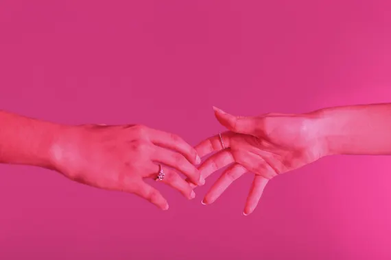 Rex Casino Tacaíocht